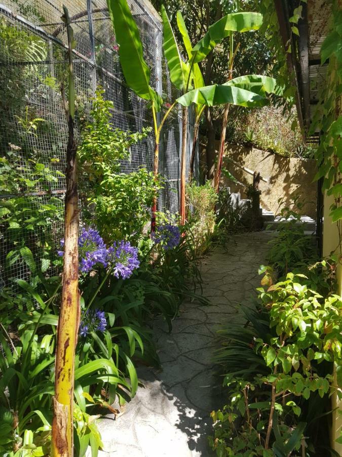 Dazk Golden Estate Hotel Ribeira Brava Luaran gambar
